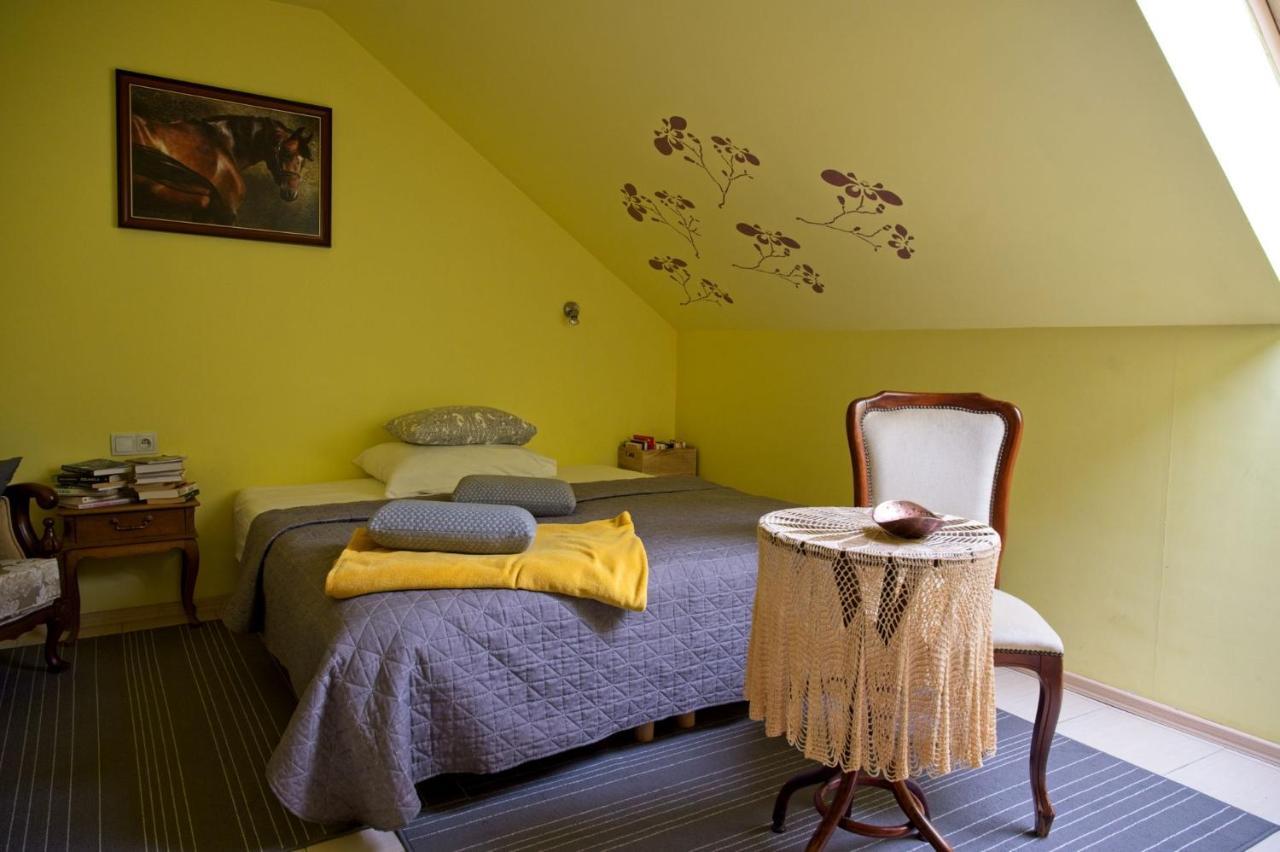 Medison Family Boutique B&B Kielce Buitenkant foto
